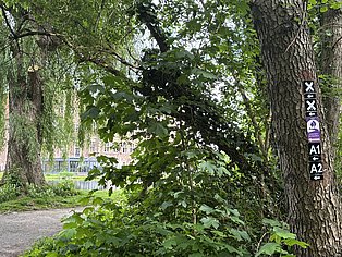 GEHspräche_BOR1